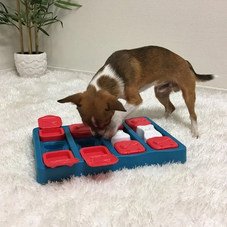 dog puzzles